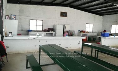 Terreno Rancho en venta, Parras Coah.