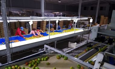 Terreno Rancho en venta, Parras Coah.