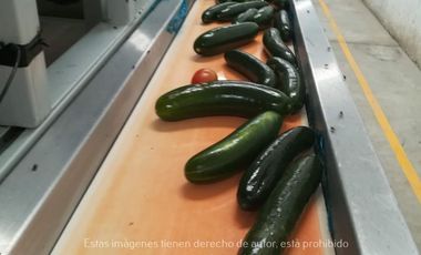 Terreno Rancho en venta, Parras Coah.