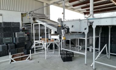 Terreno Rancho en venta, Parras Coah.