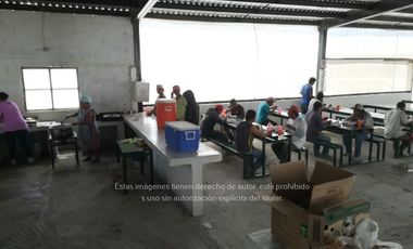 Terreno Rancho en venta, Parras Coah.