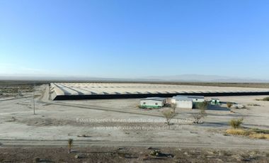 Terreno Rancho en venta, Parras Coah.