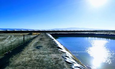 Terreno Rancho en venta, Parras Coah.