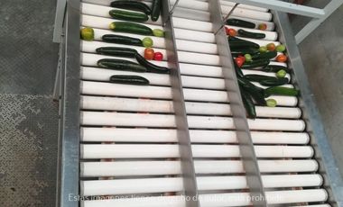 Terreno Rancho en venta, Parras Coah.