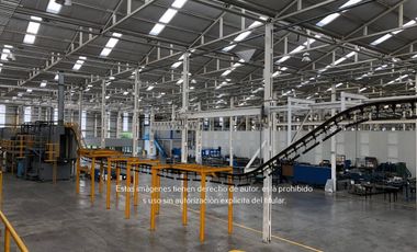 Nave Industrial en Venta y Renta en Casa Bella