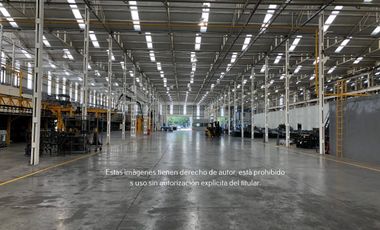 Nave Industrial en Venta y Renta en Casa Bella