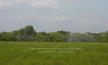 Rancho agrícola en Venta Los Ramones, N.L.