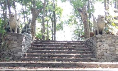 Jual rumah villa di hargobinangun pakem kaliurang sleman yogyakarta