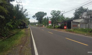 Dijual tanah pinggir jalan nasional dekat gerbang pintu tol Panimbang