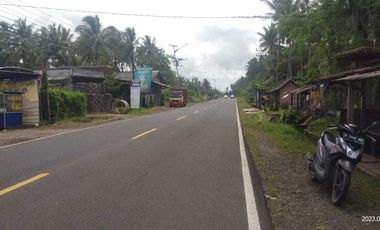 Dijual tanah pinggir jalan nasional dekat gerbang pintu tol Panimbang