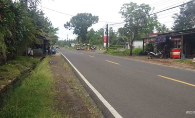 Dijual tanah pinggir jalan nasional dekat gerbang pintu tol Panimbang