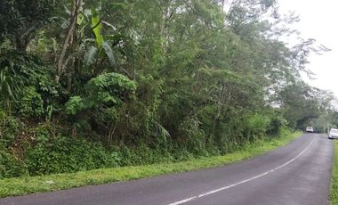 Villa modern minimalis di Sanur, cocok untuk villa pribadi, komersil