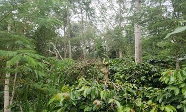 Villa modern minimalis di Sanur, cocok untuk villa pribadi, komersil