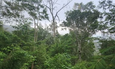 Villa modern minimalis di Sanur, cocok untuk villa pribadi, komersil