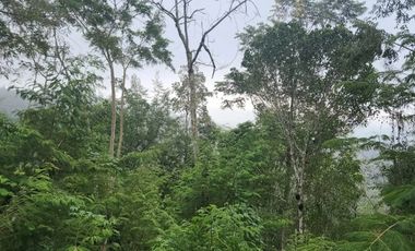 Villa modern minimalis di Sanur, cocok untuk villa pribadi, komersil