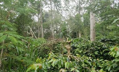 Villa modern minimalis di Sanur, cocok untuk villa pribadi, komersil