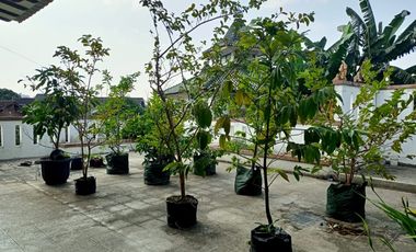 Rumah strategis di Tegalrejo kodya Yogyakarta,kolam renang, dkt UGM, RSUP SARDJITO, JCM MALL, KAMPUS MMTC