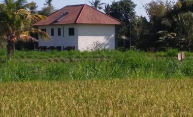 Nego, Villa view jungle dan sawah di Gianyar, Halaman luas
