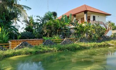 Nego, Villa view jungle dan sawah di Gianyar, Halaman luas