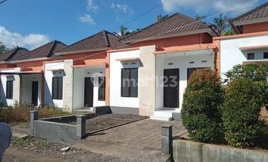 Rumah minimalis 1 km dari jalan antar provinsi di Tabanan Bali