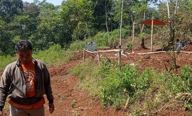 tanah kebun  siap bangun akses mobil