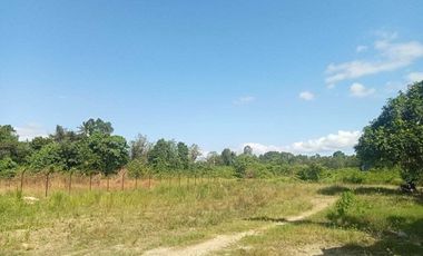 Tanah Di Jual Lokasi Strategis, jalan poros BYPASS kendari