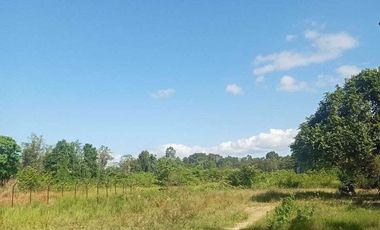 Tanah Di Jual Lokasi Strategis, jalan poros BYPASS kendari