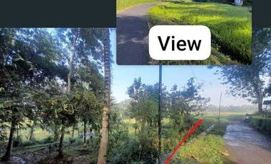 Tanah dijual di Nanggulan, Kulon Progo