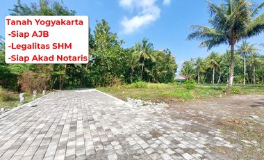 Tanah 900 Rb-an di Tawangsari Dekat Bandara YIA