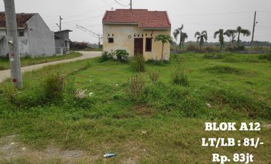 Aset BTN Tegal. Rumah&Kavling Perum Nurbaety Regency, Tarub, Kab.Tegal