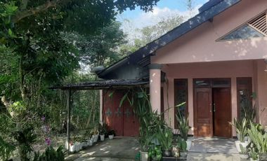 Rumah Murah Nyaman Asri di Grobogan
