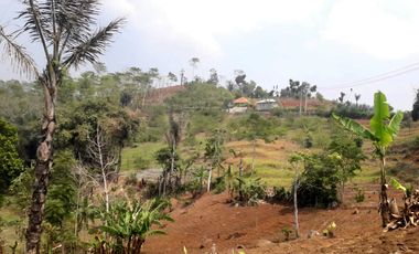 TANAH BELAKANG KOTA BARU PARAHYANGAN KEC CIkande