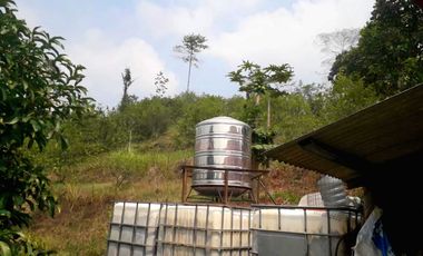 TANAH BELAKANG KOTA BARU PARAHYANGAN KEC CIkande