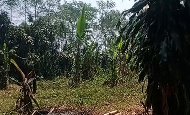 Dijual Tanah 2.537 m² Lembursitu - Akses Mudah dan Prospektif