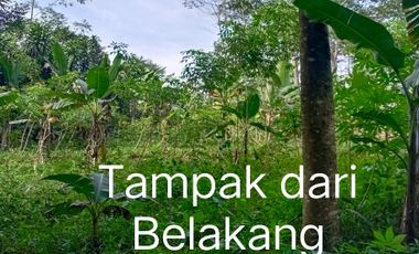 Dijual Tanah 2.537 m² Lembursitu - Akses Mudah dan Prospektif