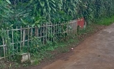 Dijual Tanah 2.537 m² Lembursitu - Akses Mudah dan Prospektif