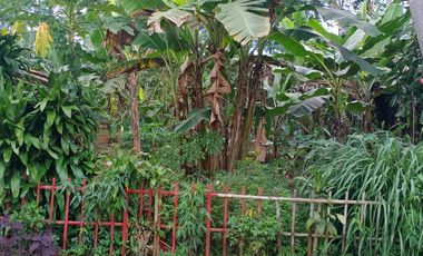 Dijual Tanah 2.537 m² Lembursitu - Akses Mudah dan Prospektif