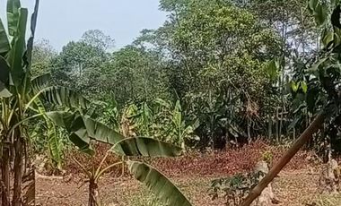 Dijual Tanah 2.537 m² Lembursitu - Akses Mudah dan Prospektif