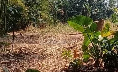 Dijual Tanah 2.537 m² Lembursitu - Akses Mudah dan Prospektif