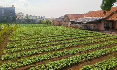 Dijual Tanah Murah untuk investasi di Cihanjuang Cimahi