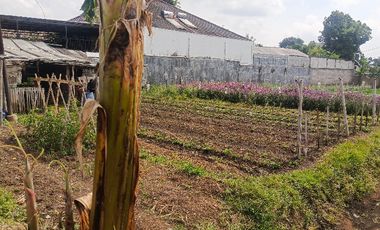 Dijual Tanah Murah untuk investasi di Cihanjuang Cimahi