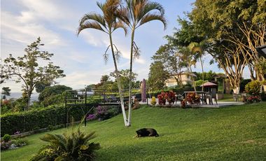 ALQUILER VACACIONAL, FINCA LOS PINOS, PEREIRA.