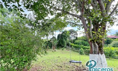 ALQUILER VACACIONAL, FINCA LOS PINOS, PEREIRA.