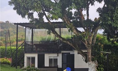 ALQUILER VACACIONAL, FINCA LOS PINOS, PEREIRA.