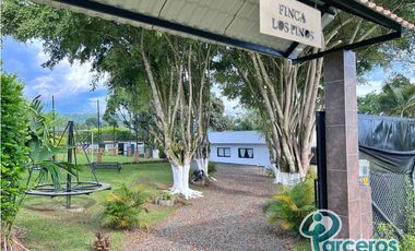 ALQUILER VACACIONAL, FINCA LOS PINOS, PEREIRA.