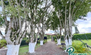 ALQUILER VACACIONAL, FINCA LOS PINOS, PEREIRA.