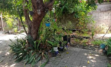 Dijual Cepat Ruang Usaha + Rumah + Kos Kosan Dekat Bandara juanda