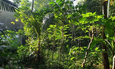 Jual Cepat Tanah SHM Murah di Pakem Sleman dkt Fasum