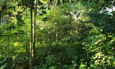 Jual Cepat Tanah SHM Murah di Pakem Sleman dkt Fasum