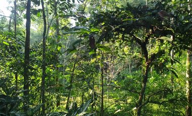 Jual Cepat Tanah SHM Murah di Pakem Sleman dkt Fasum